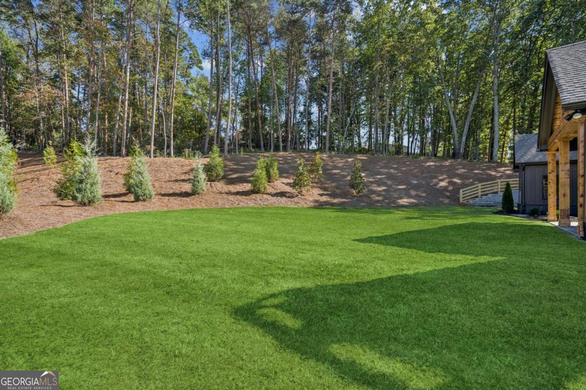 4440 KD Kruzel Drive Cumming - Photo 66