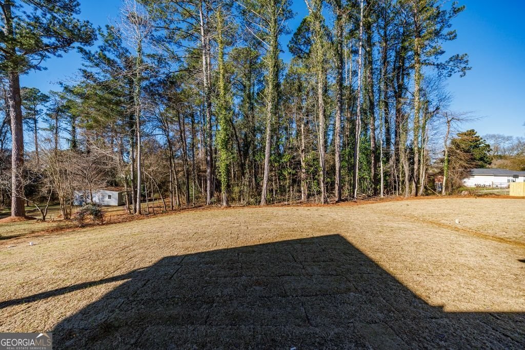 135 Beavers Street Carrollton - Photo 8