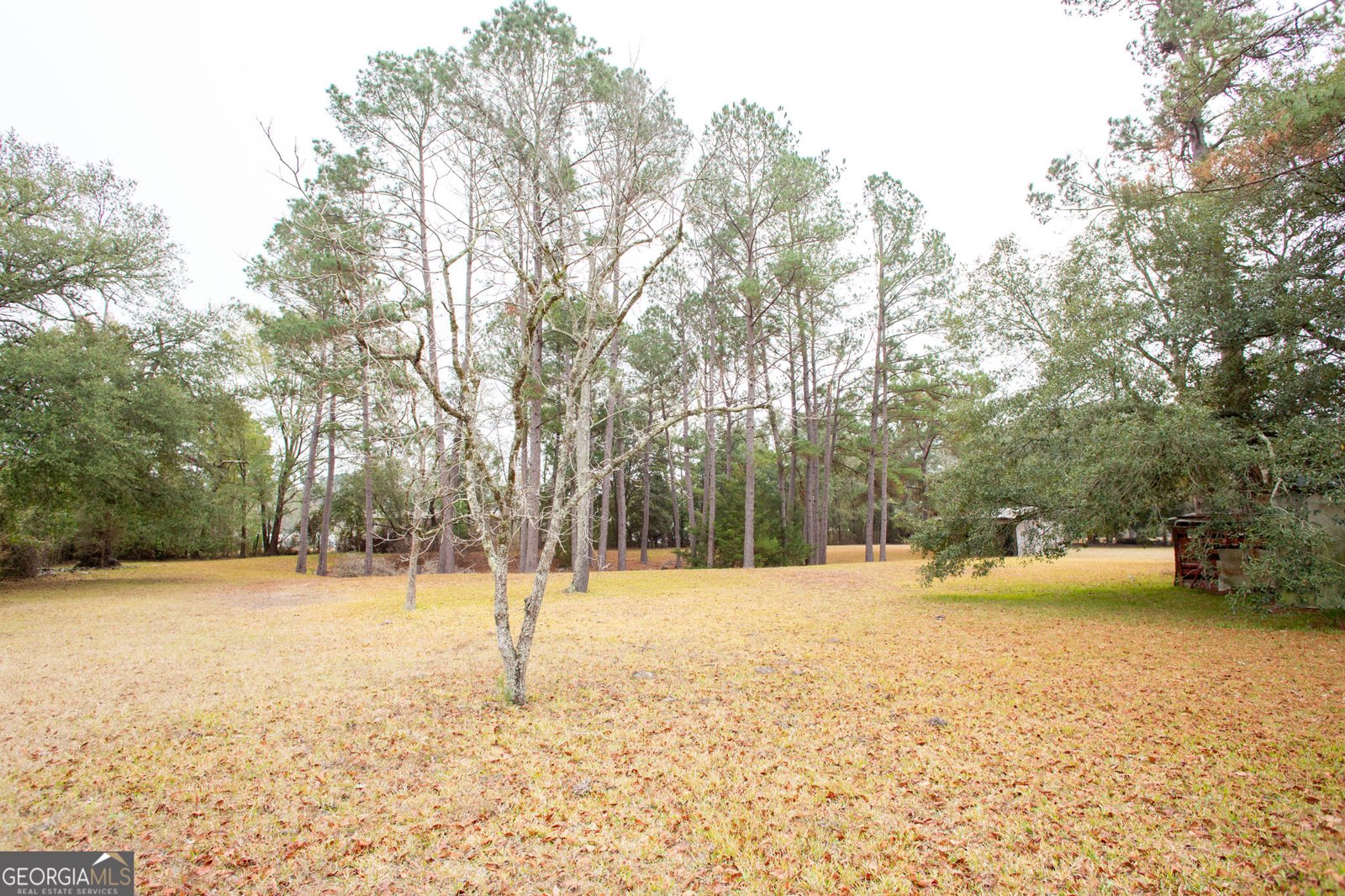 4618 Old Waltertown Road Waycross - Photo 39