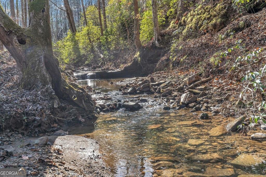 246 Woodward Way Talking Rock - Photo 37