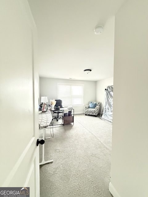 4210 Wild Country Court Douglasville - Photo 11