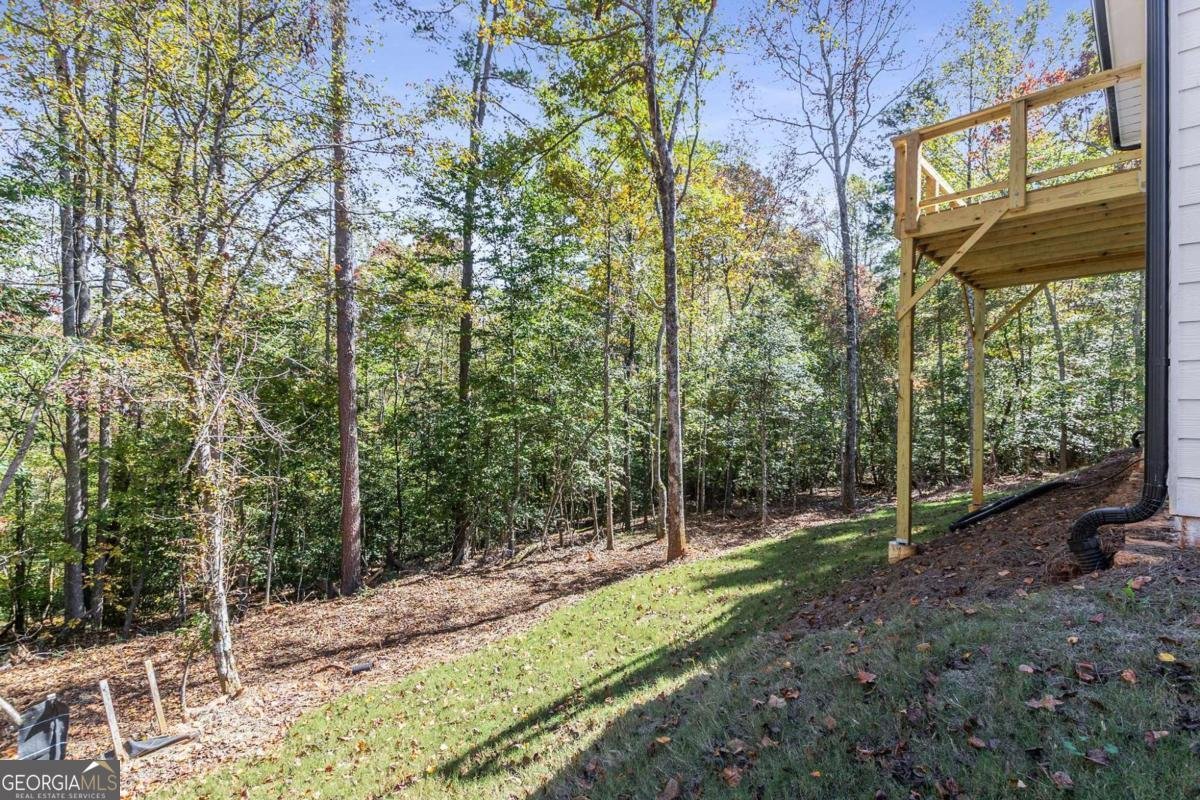 301 Kissimmee Trail Cornelia - Photo 51