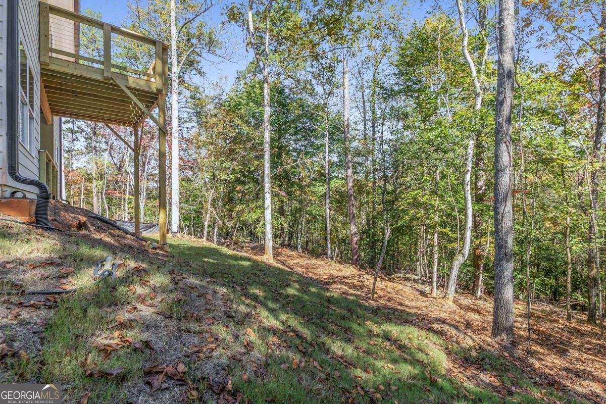 301 Kissimmee Trail Cornelia - Photo 53