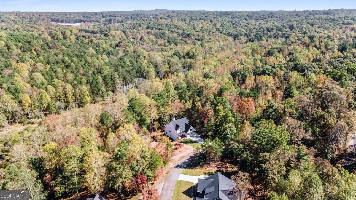 301 Kissimmee Trail Cornelia - Photo 55