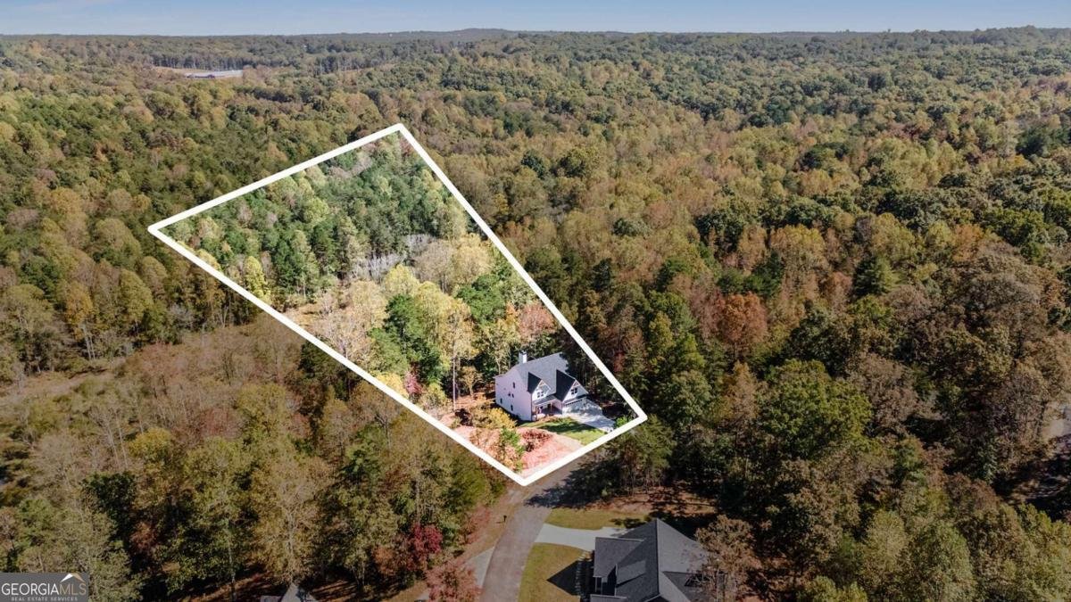 301 Kissimmee Trail Cornelia - Photo 56