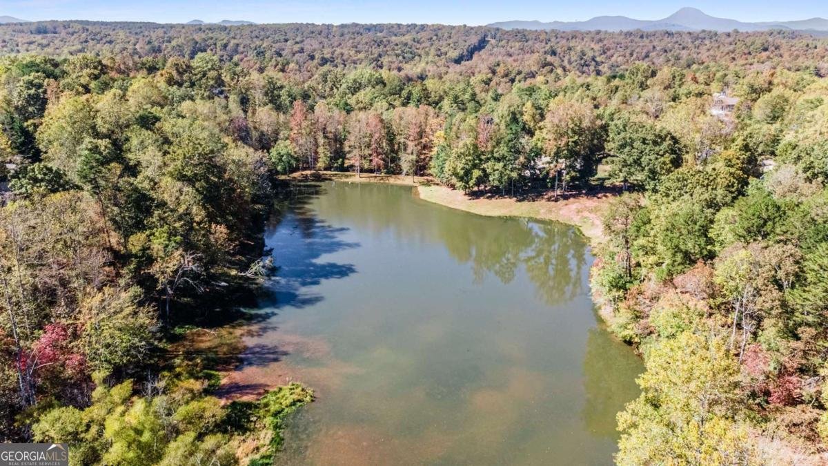 301 Kissimmee Trail Cornelia - Photo 57