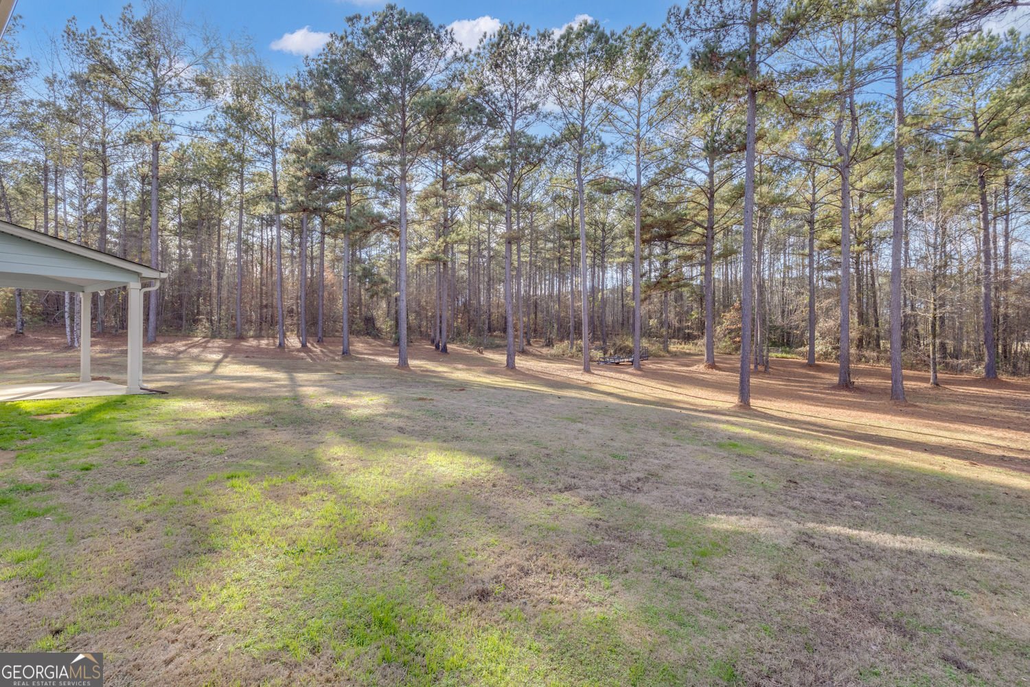 191 Delta Downs Court Hogansville - Photo 41