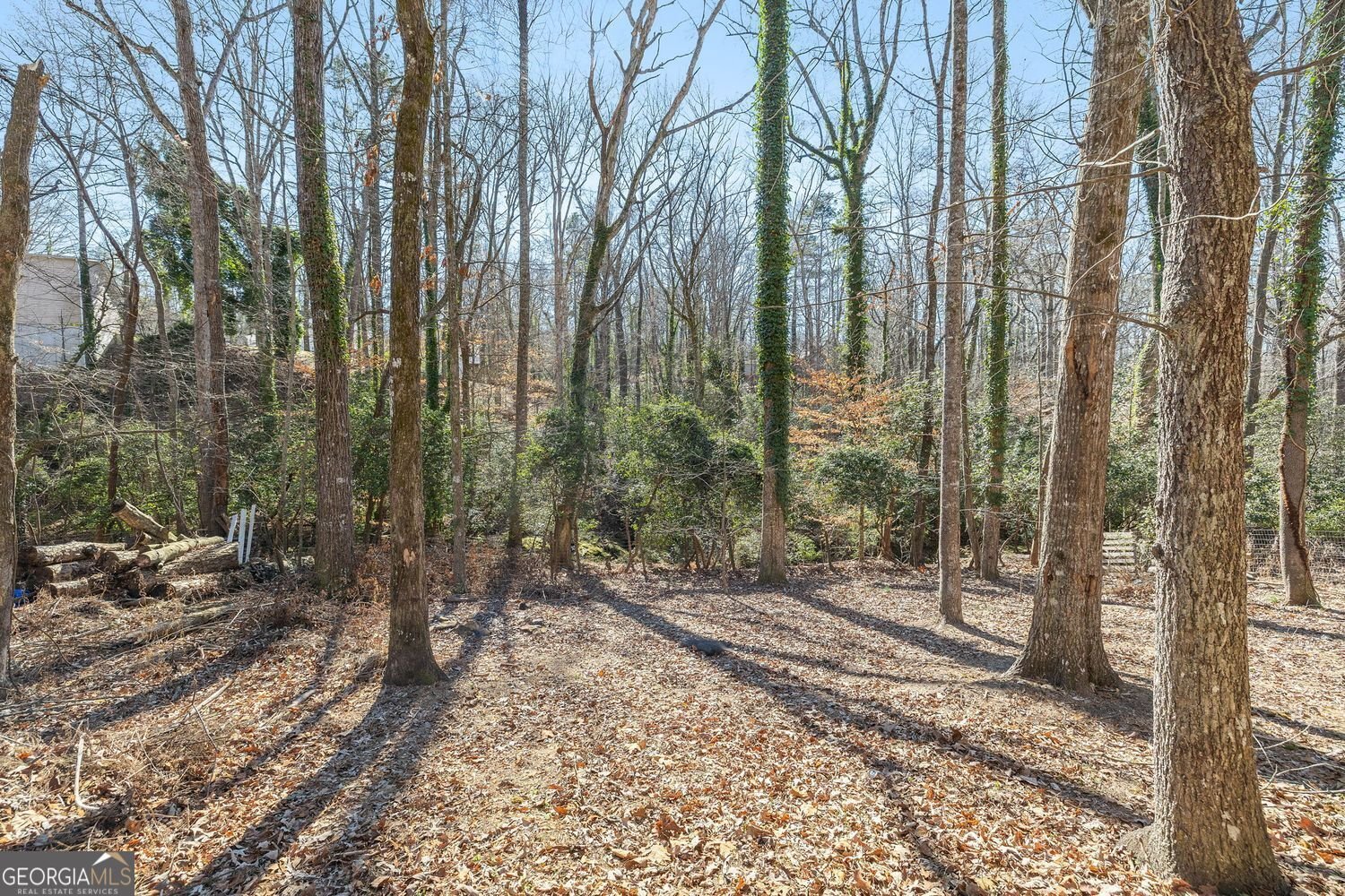 295 Oakland Drive Gainesville - Photo 51