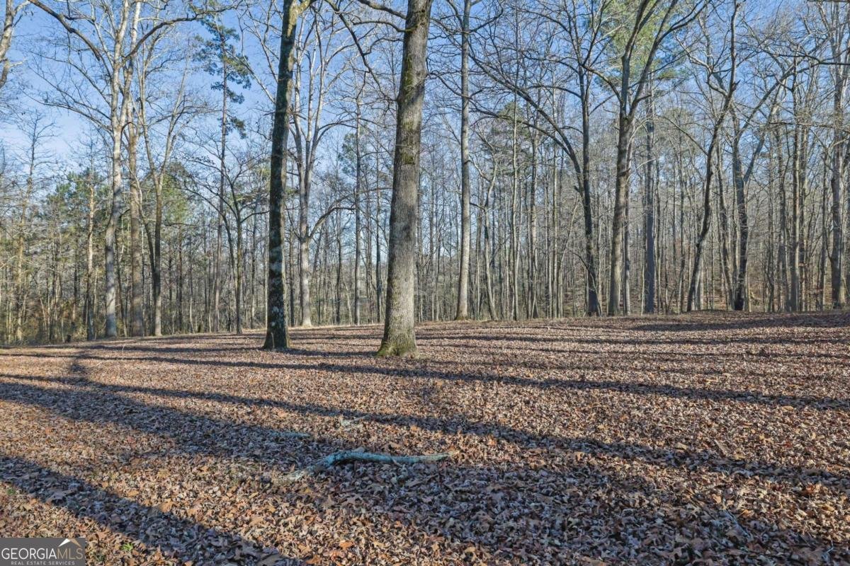 6896 Heardsville Road Cumming - Photo 40