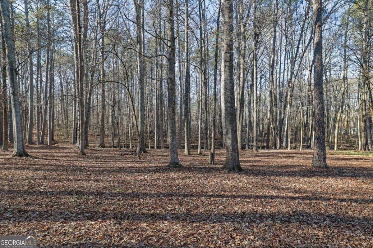 6896 Heardsville Road Cumming - Photo 41