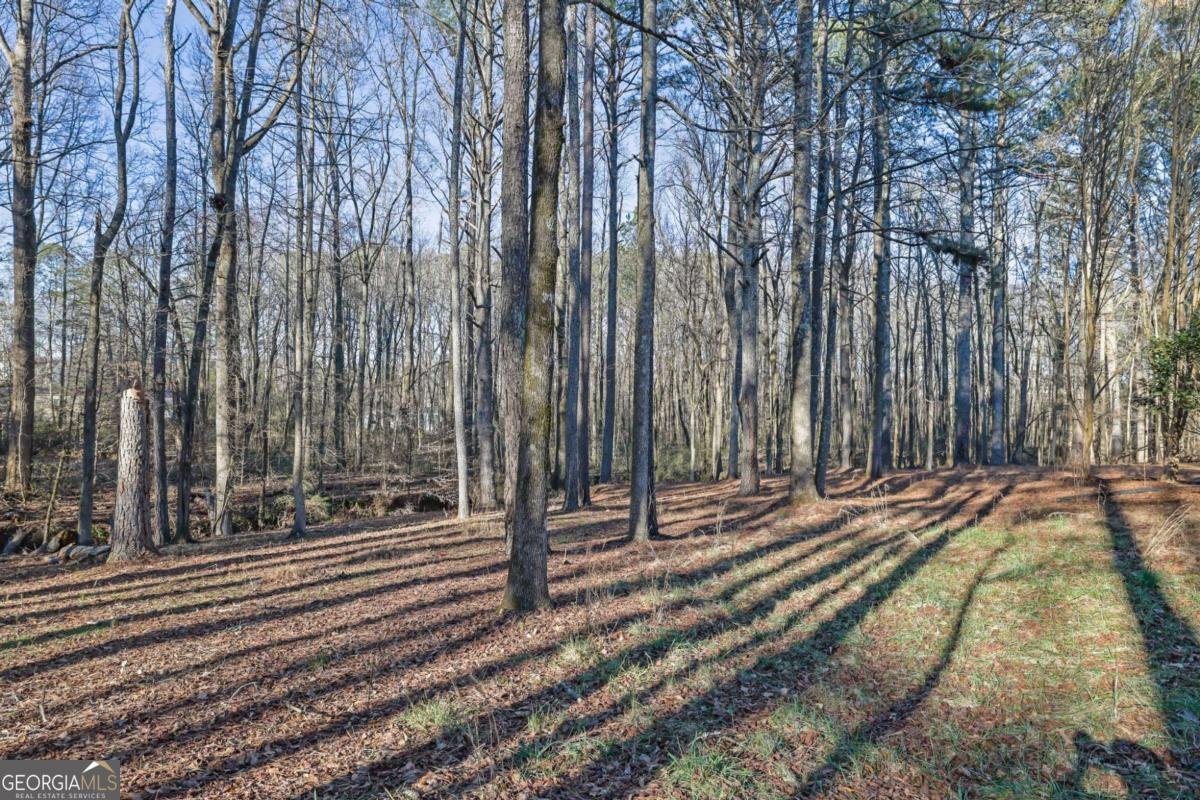 6896 Heardsville Road Cumming - Photo 43