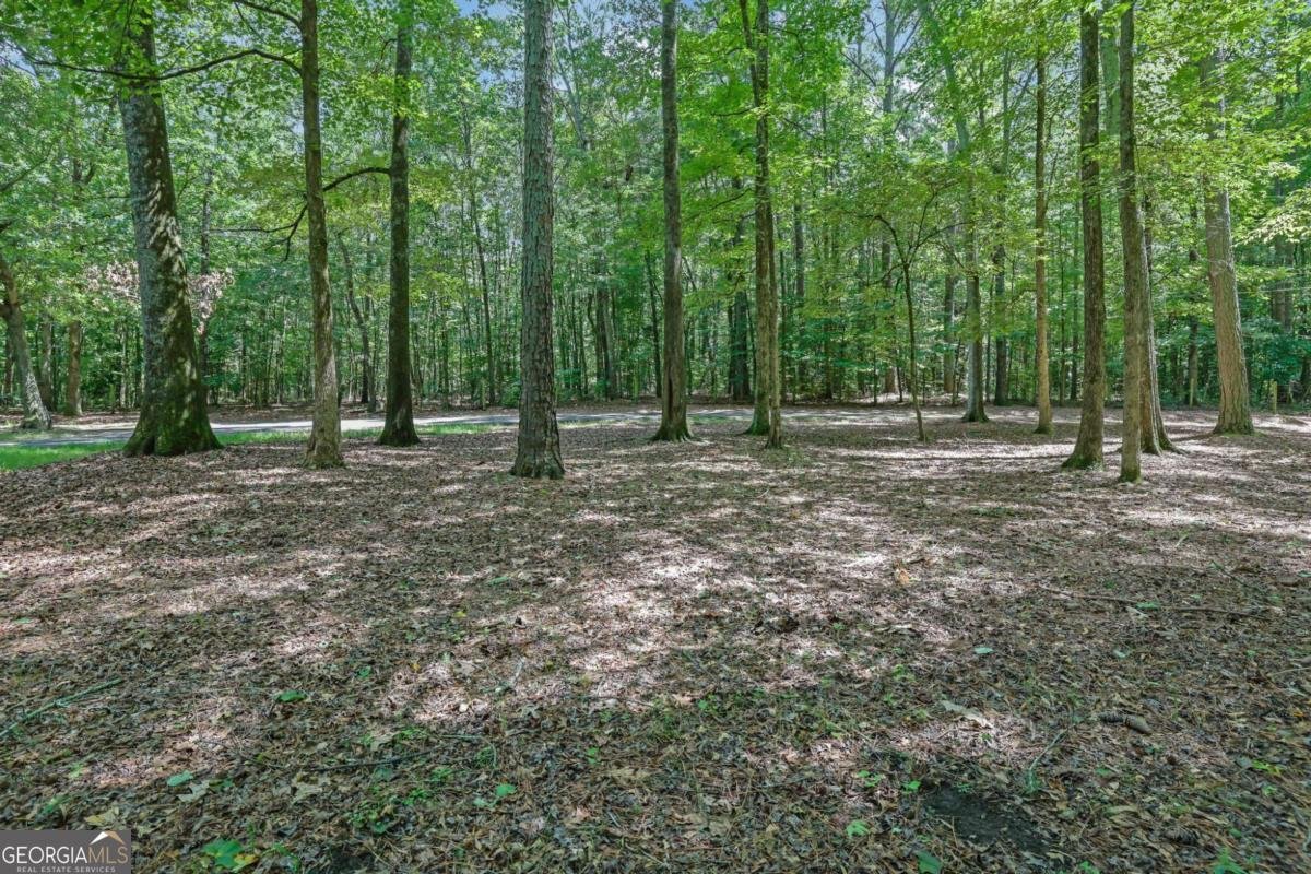 6896 Heardsville Road Cumming - Photo 46