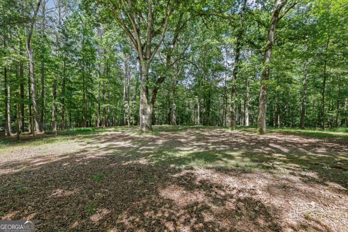 6896 Heardsville Road Cumming - Photo 47