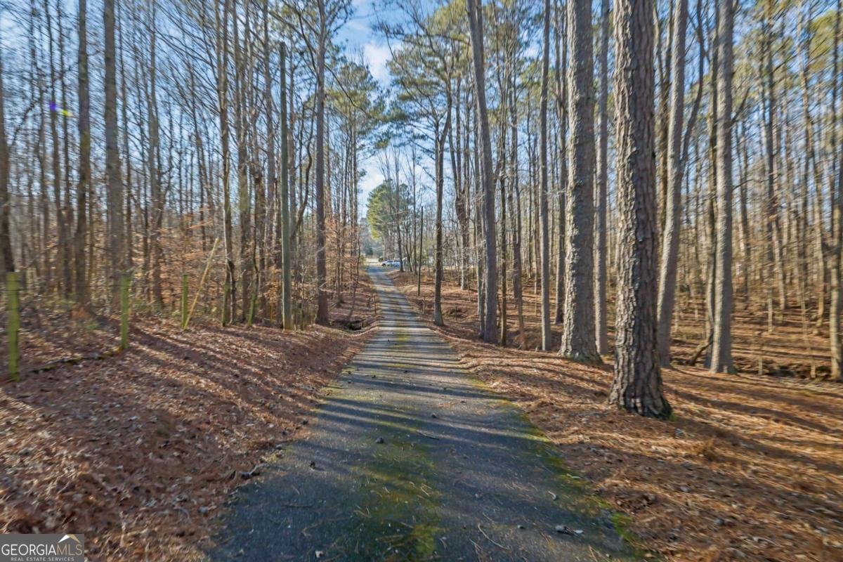 6896 Heardsville Road Cumming - Photo 48