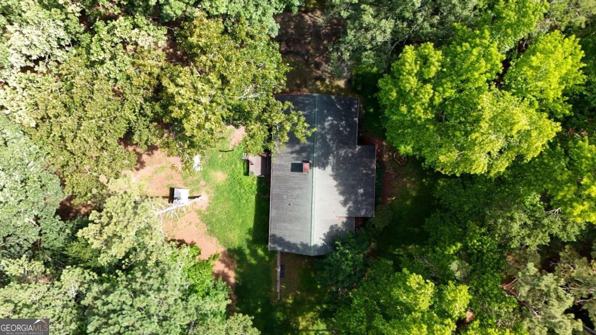 6896 Heardsville Road Cumming - Photo 50