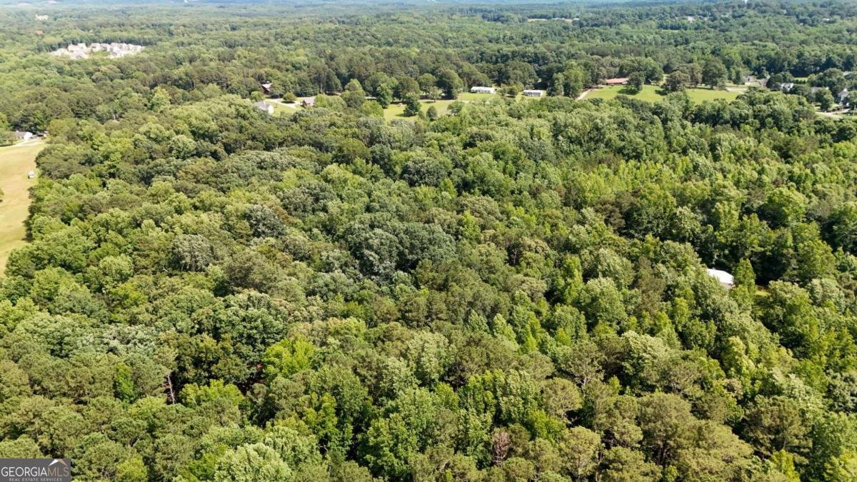 6896 Heardsville Road Cumming - Photo 52