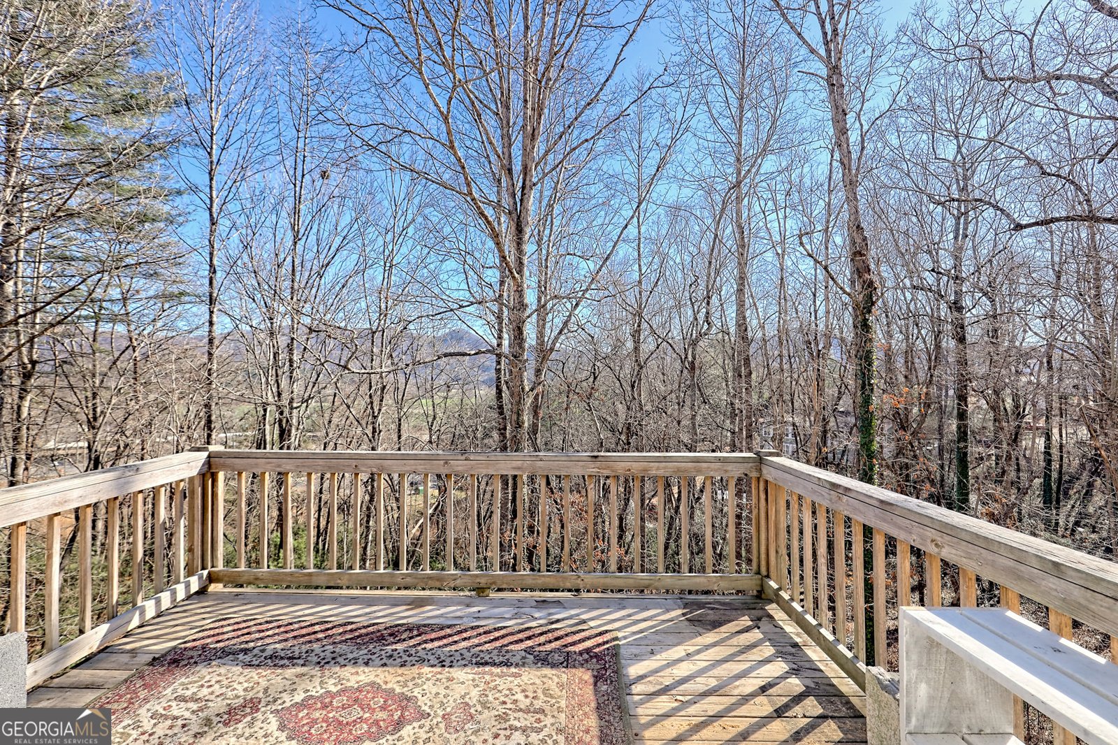 170 White Street Dillard - Photo 10