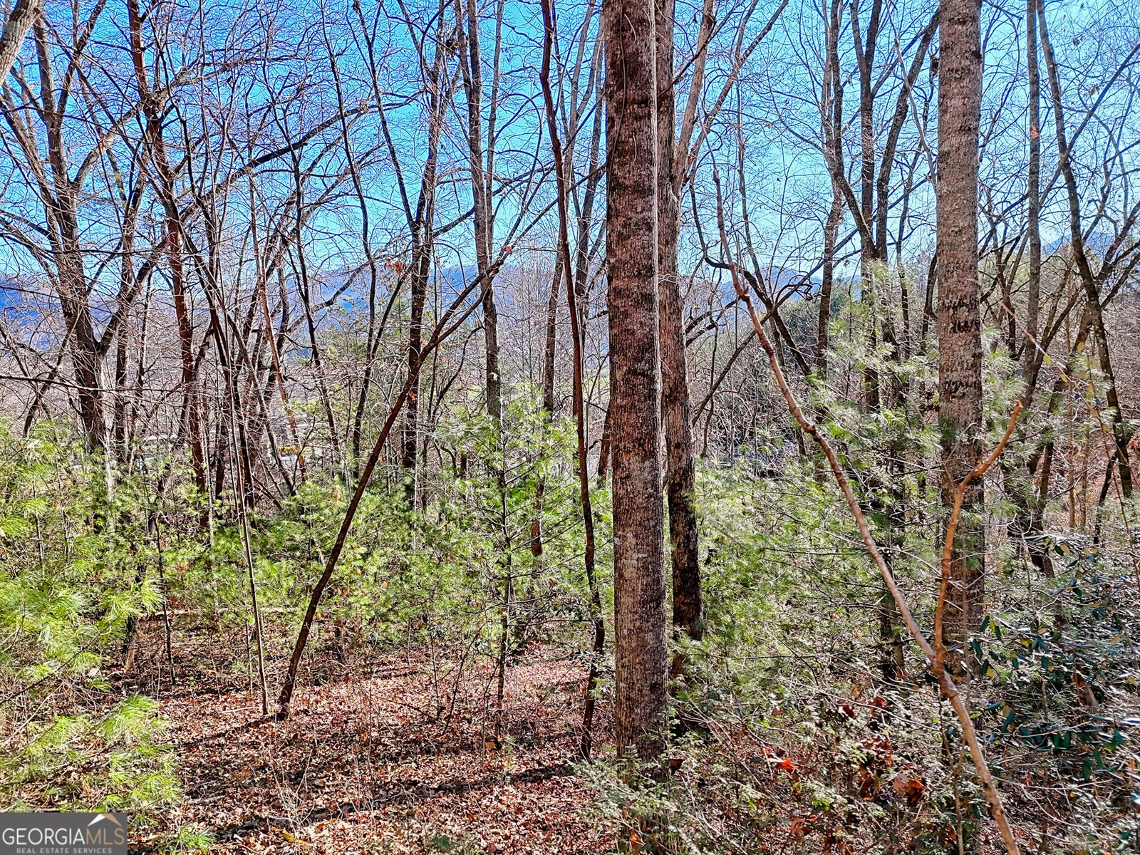 170 White Street Dillard - Photo 34