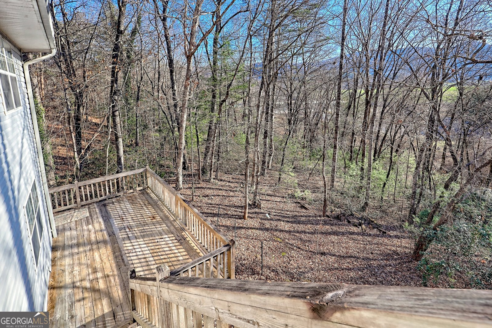 170 White Street Dillard - Photo 36