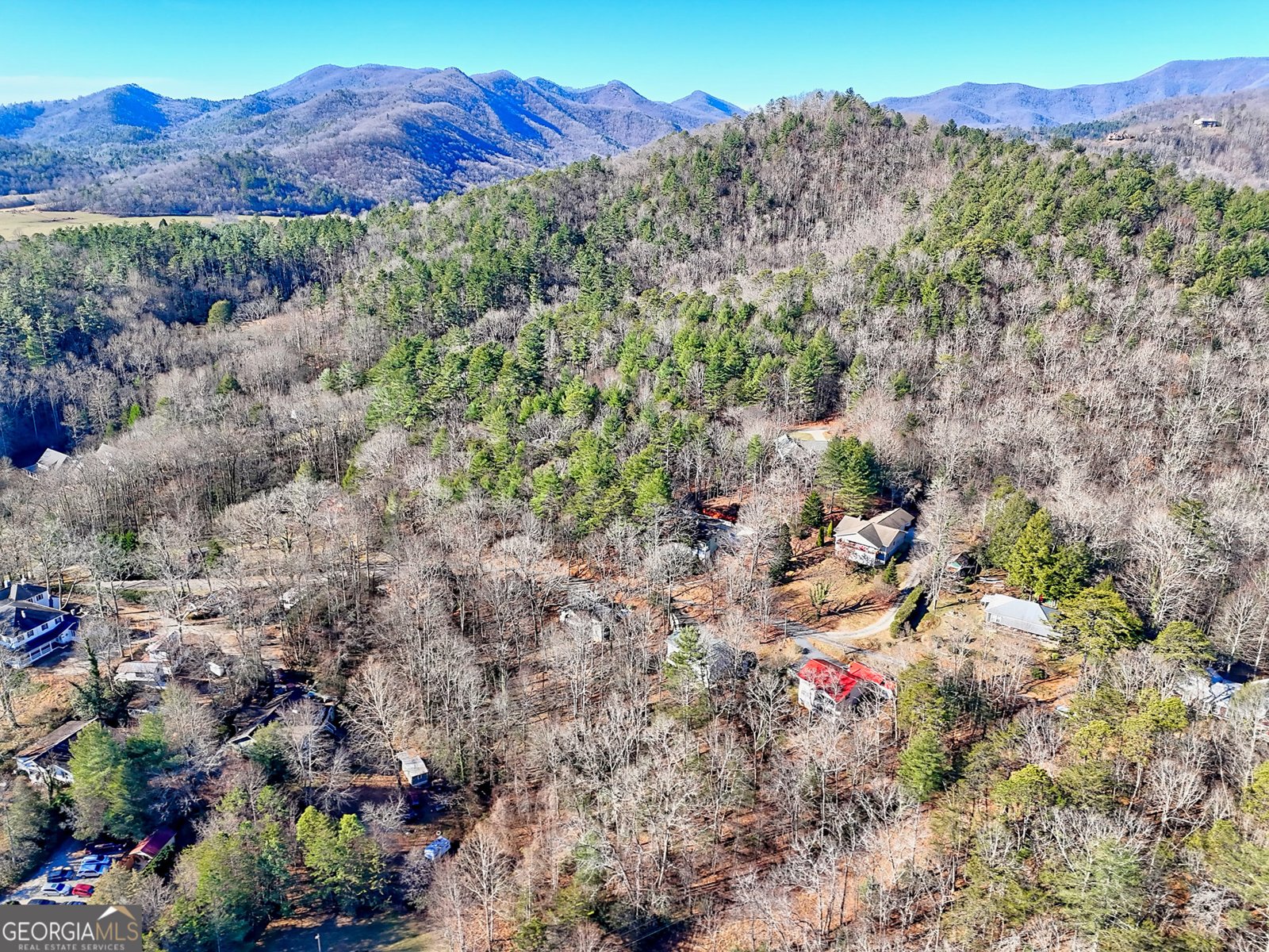 170 White Street Dillard - Photo 54