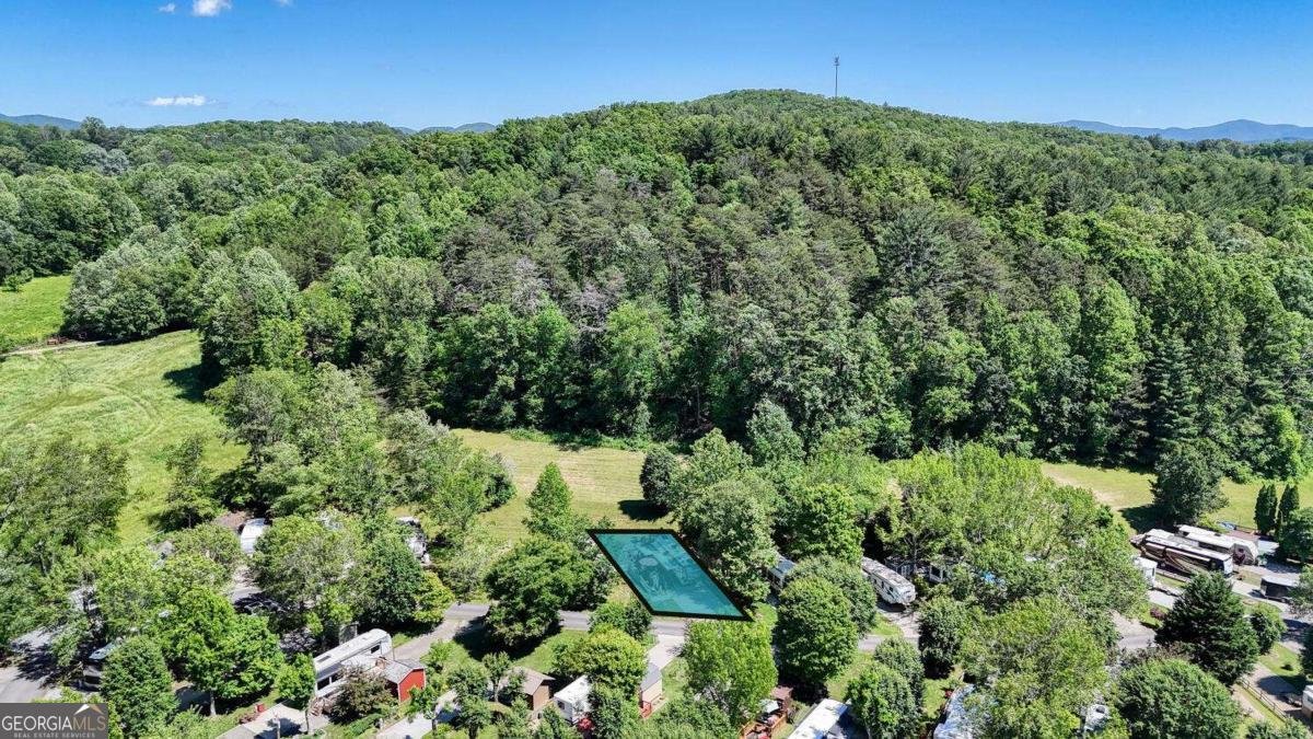 391 Conley Creek Circle Blairsville - Photo 38