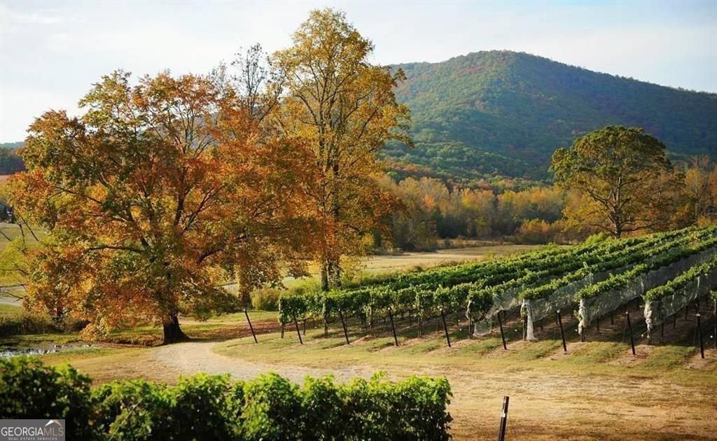 145 Pinnacle Way Ellijay - Photo 19