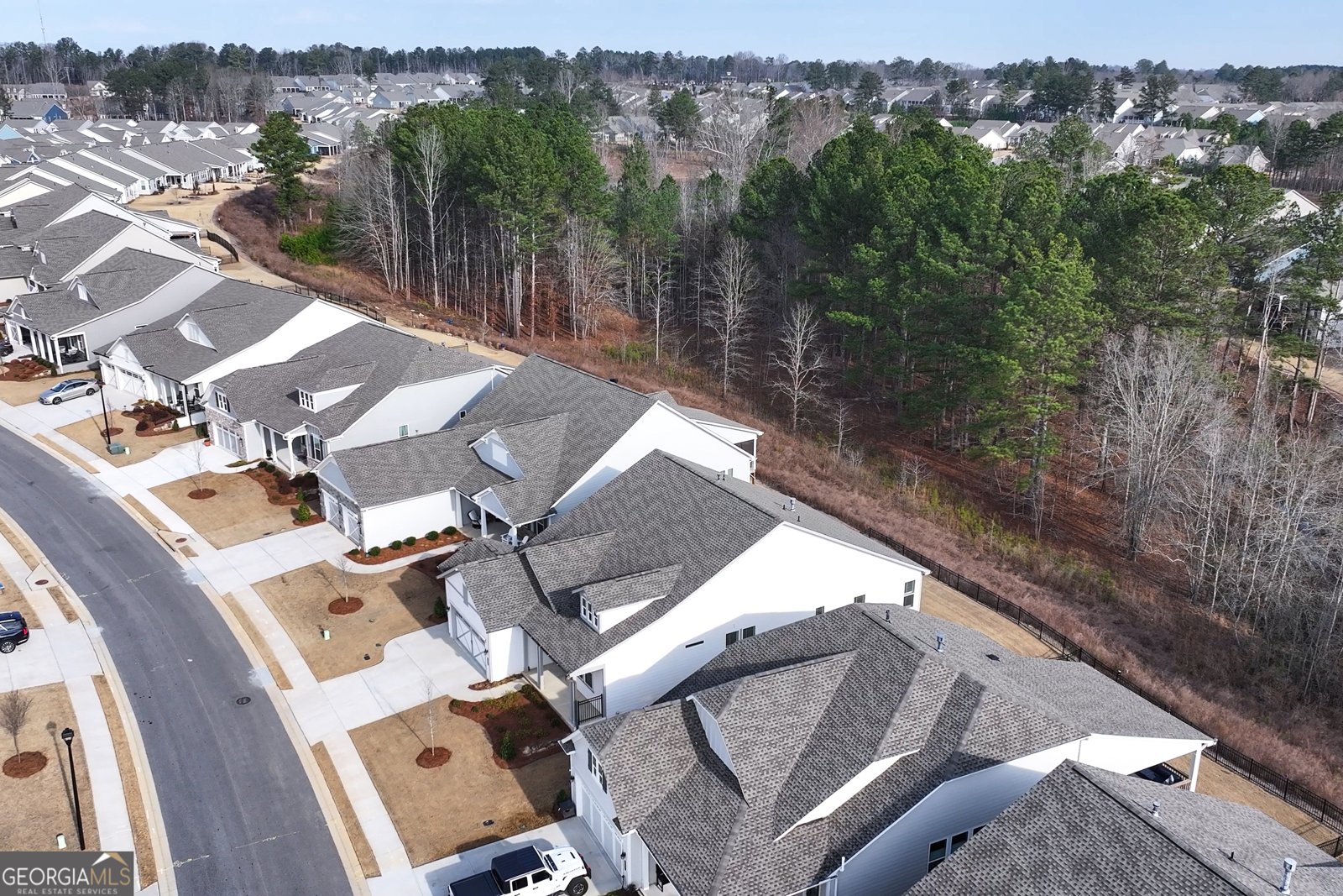 385 Huron Lane Hoschton - Photo 58