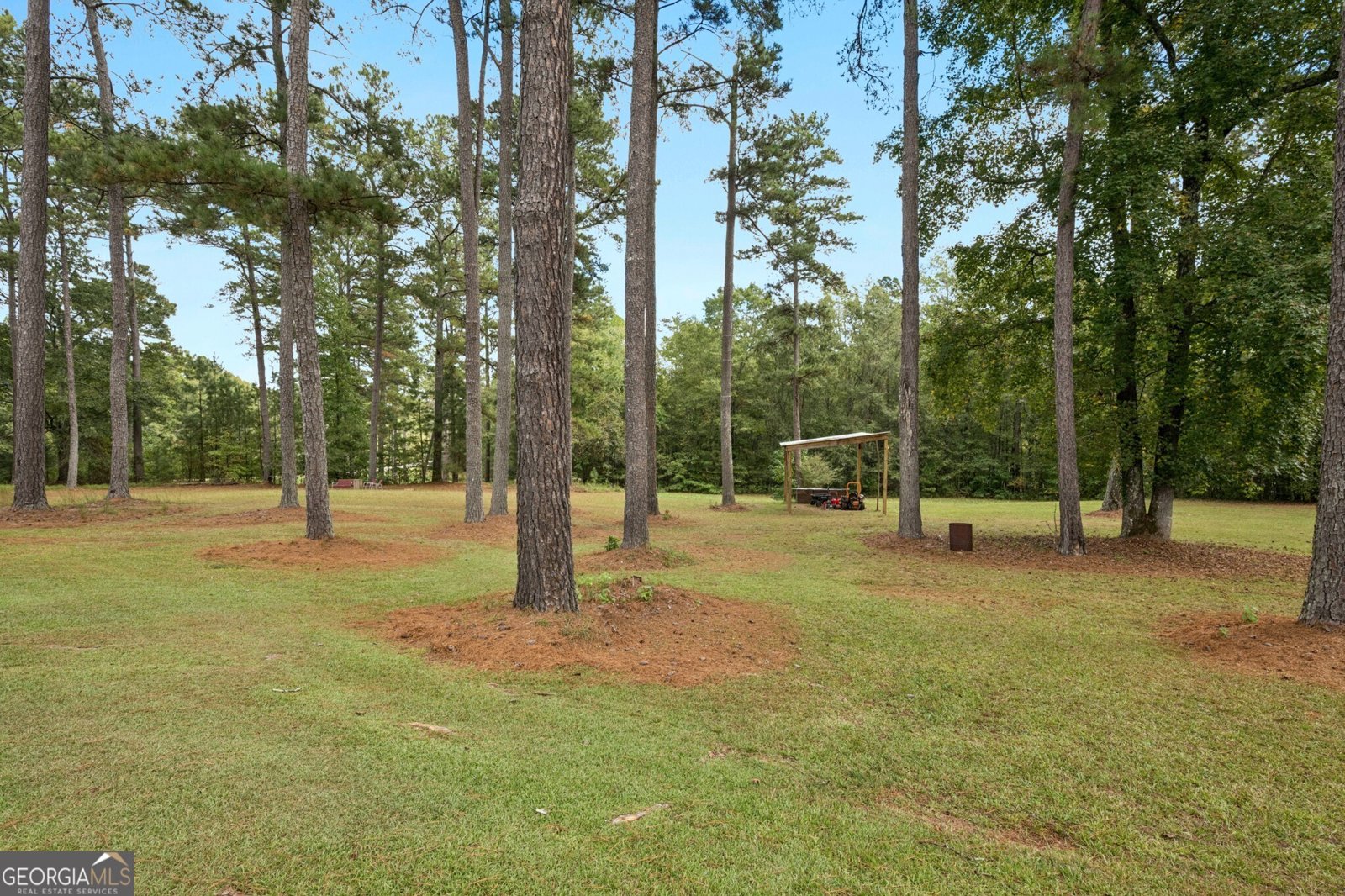 334 Luther Bailey Road Senoia - Photo 12