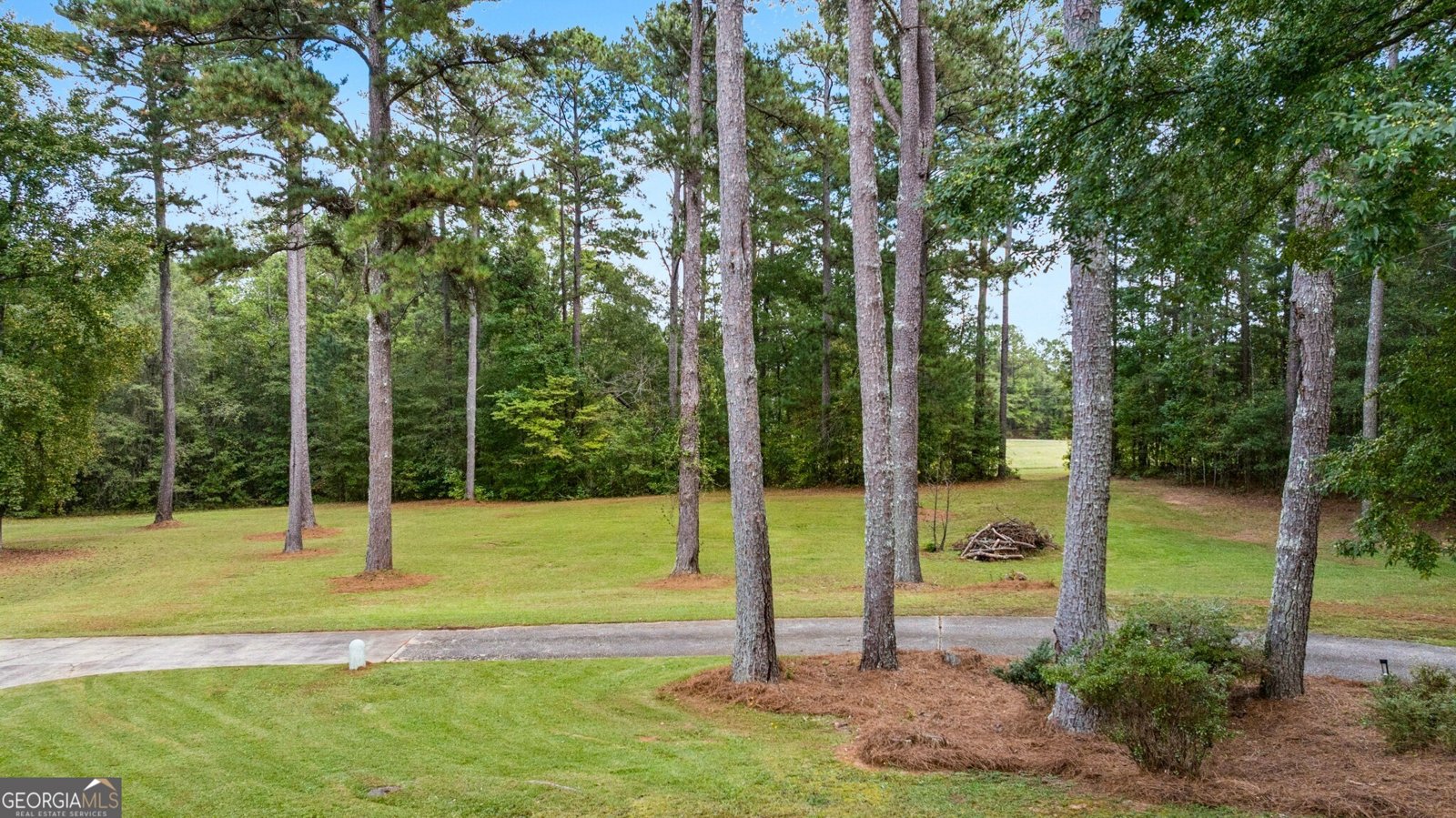 334 Luther Bailey Road Senoia - Photo 64