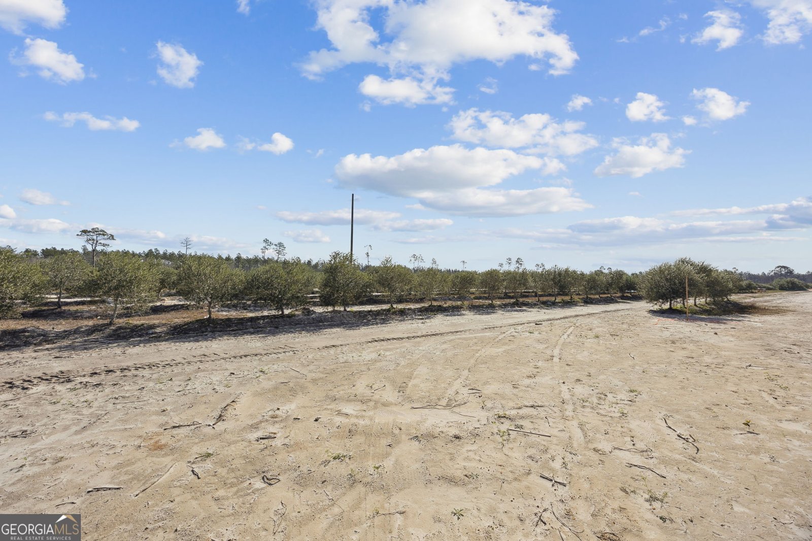 64 Olive Branch Way Folkston - Photo 28