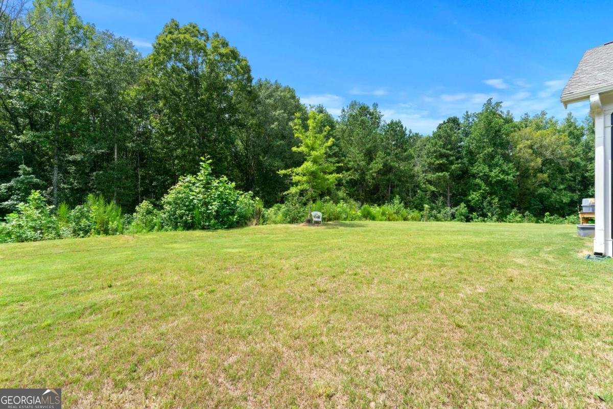 430 Plainfield Street Fayetteville - Photo 21