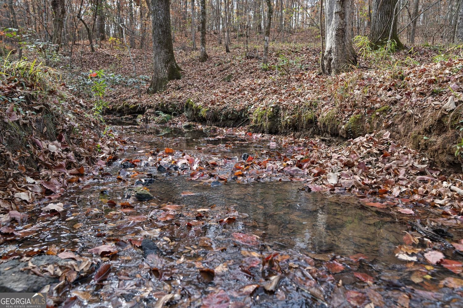 350 Lee Paul Road Hawkinsville - Photo 40