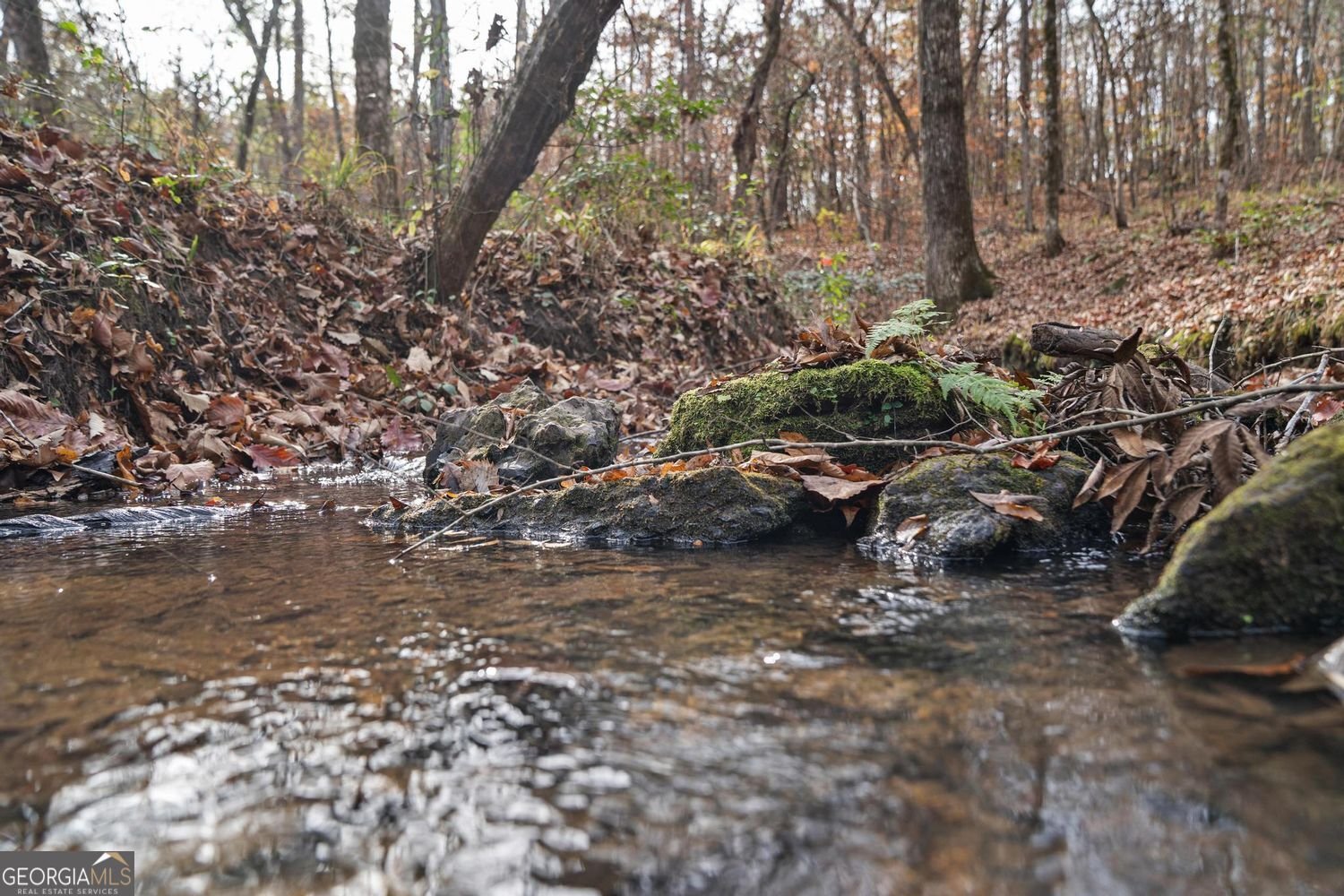 350 Lee Paul Road Hawkinsville - Photo 41