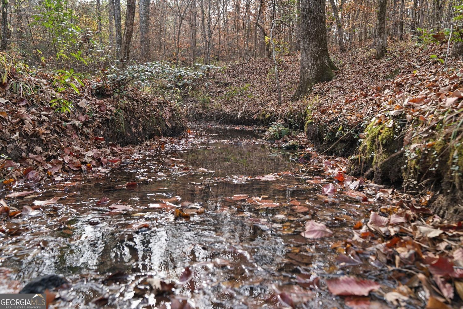 350 Lee Paul Road Hawkinsville - Photo 42