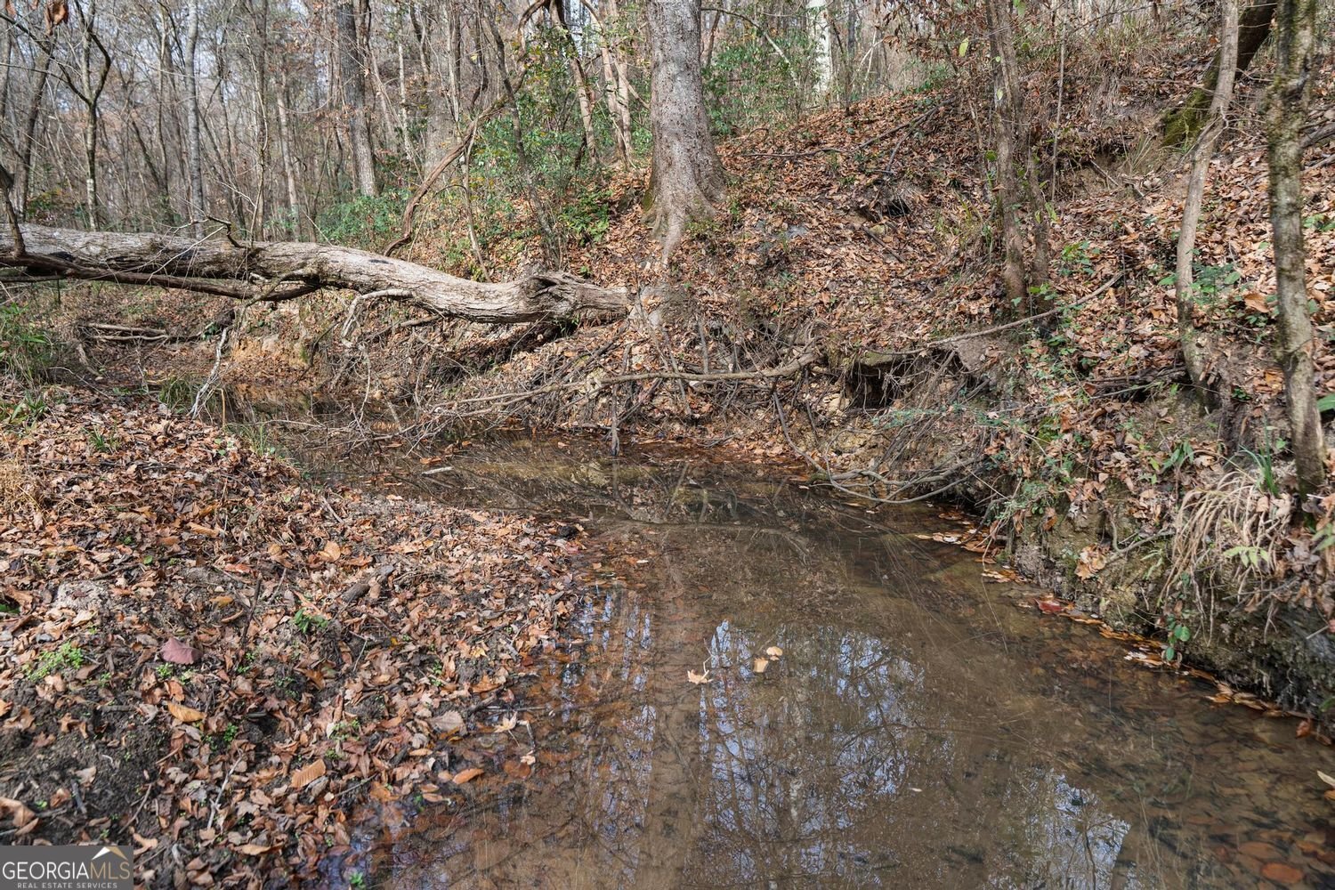 350 Lee Paul Road Hawkinsville - Photo 43