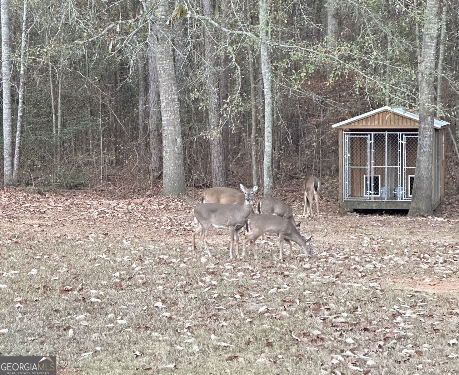 350 Lee Paul Road Hawkinsville - Photo 44