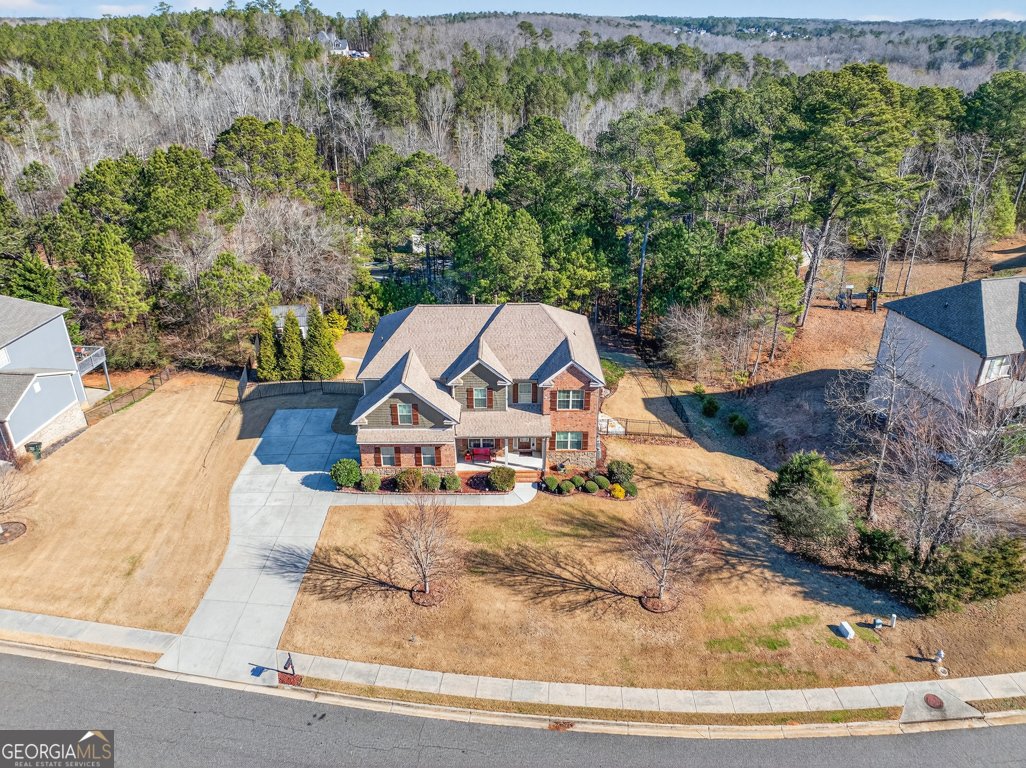 1393 Silver Thorne Court Loganville - Photo 64