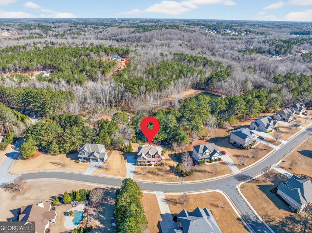 1393 Silver Thorne Court Loganville - Photo 65