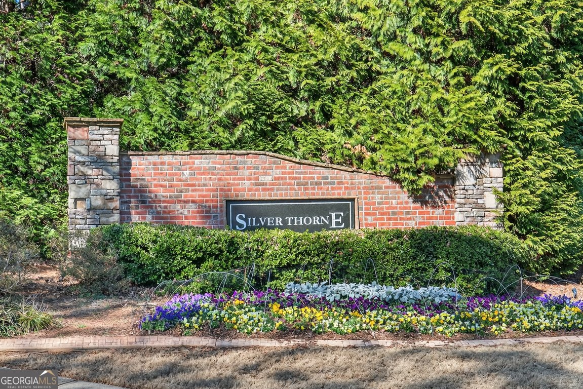 1393 Silver Thorne Court Loganville - Photo 66