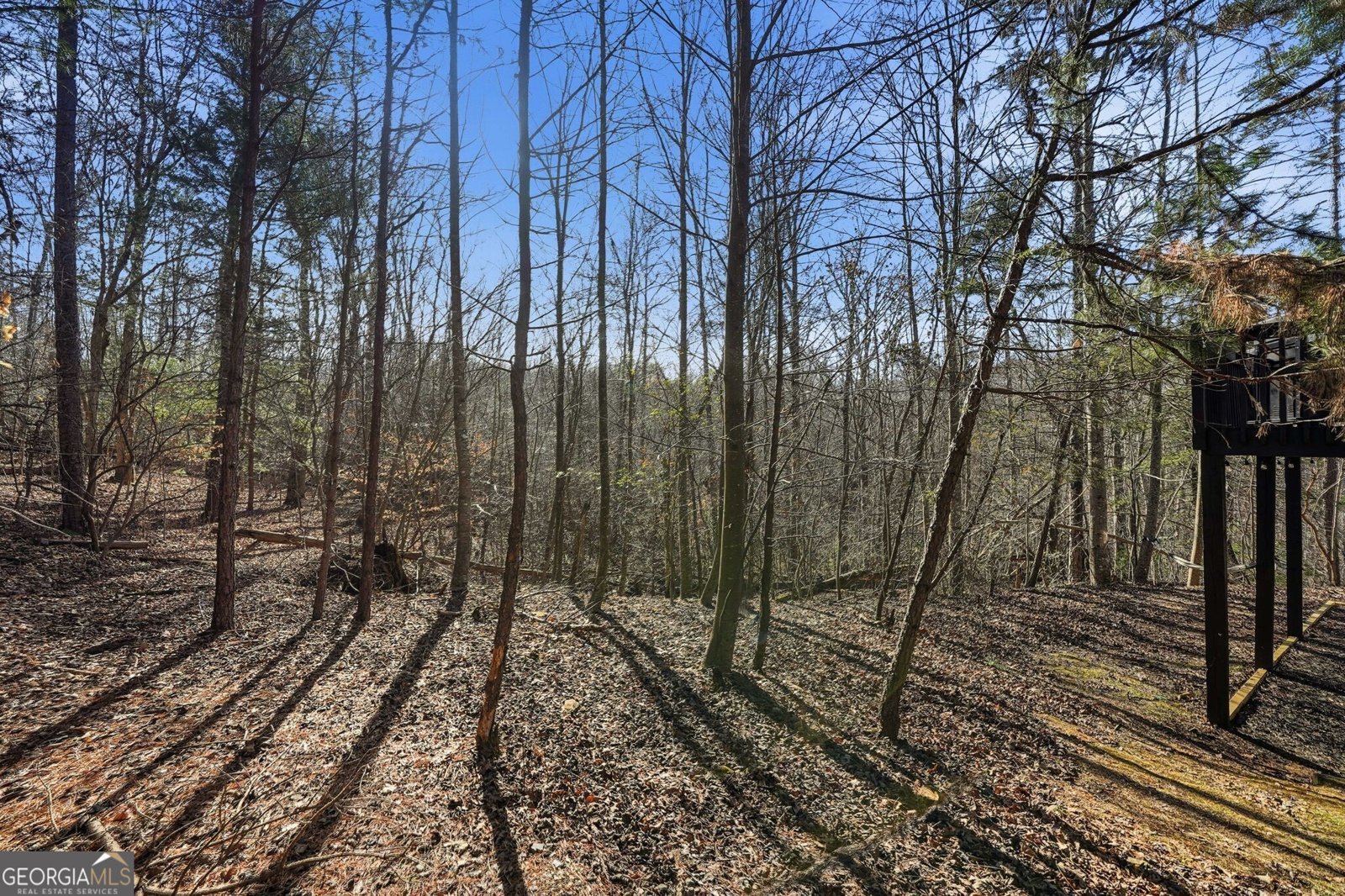 589 Spalding Circle Ellijay - Photo 28