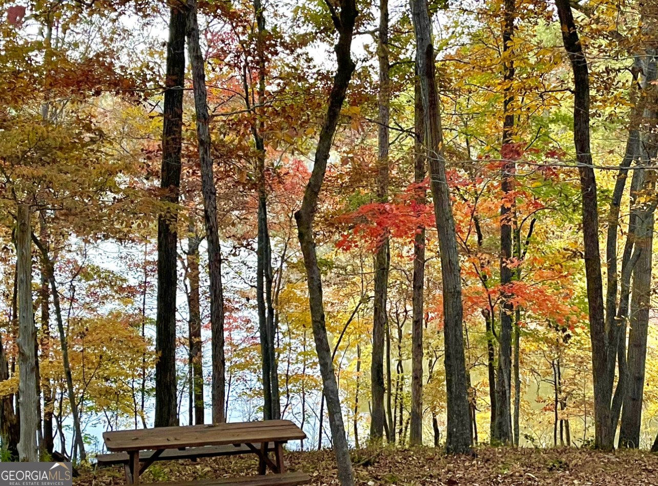 6592 Huckleberry Lane Lula - Photo 38