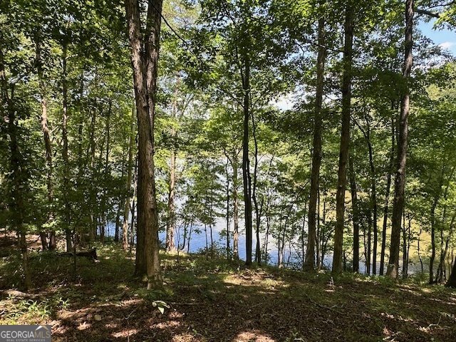 6592 Huckleberry Lane Lula - Photo 41