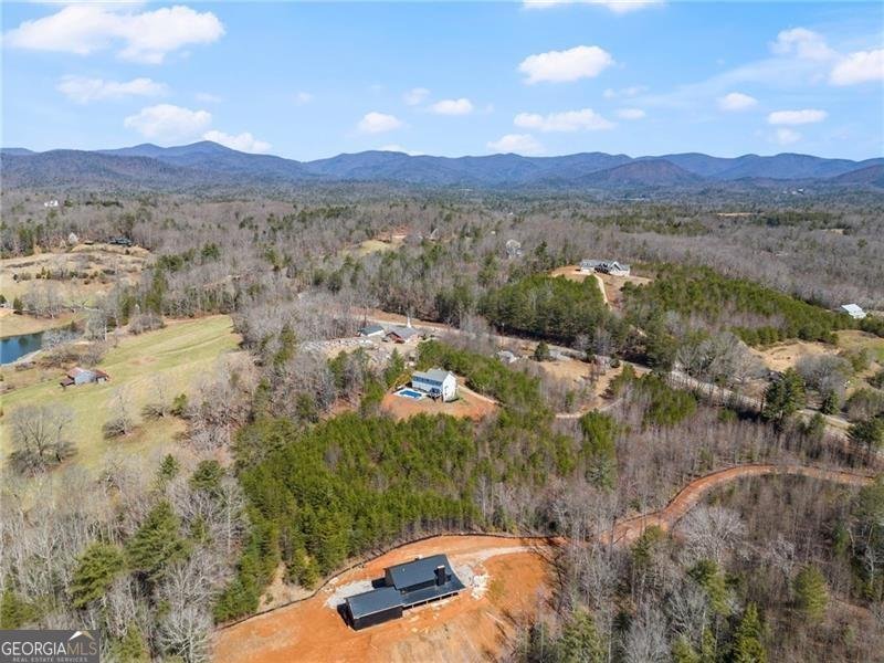 4295 Porter Springs Road Dahlonega - Photo 47
