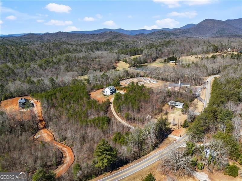 4295 Porter Springs Road Dahlonega - Photo 48