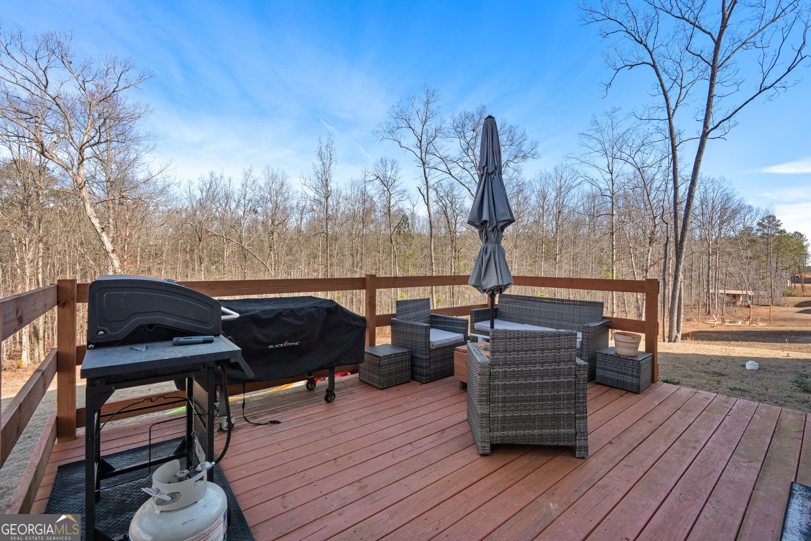 821 Hunter Welch Parkway Luthersville - Photo 48