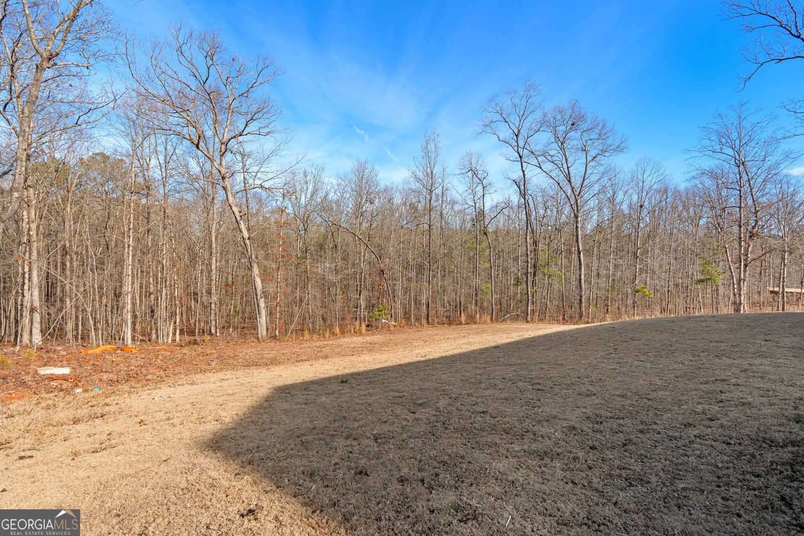 821 Hunter Welch Parkway Luthersville - Photo 50