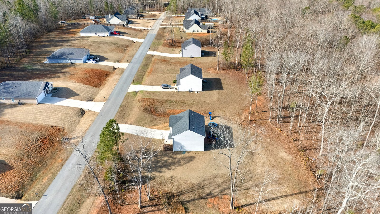 821 Hunter Welch Parkway Luthersville - Photo 53