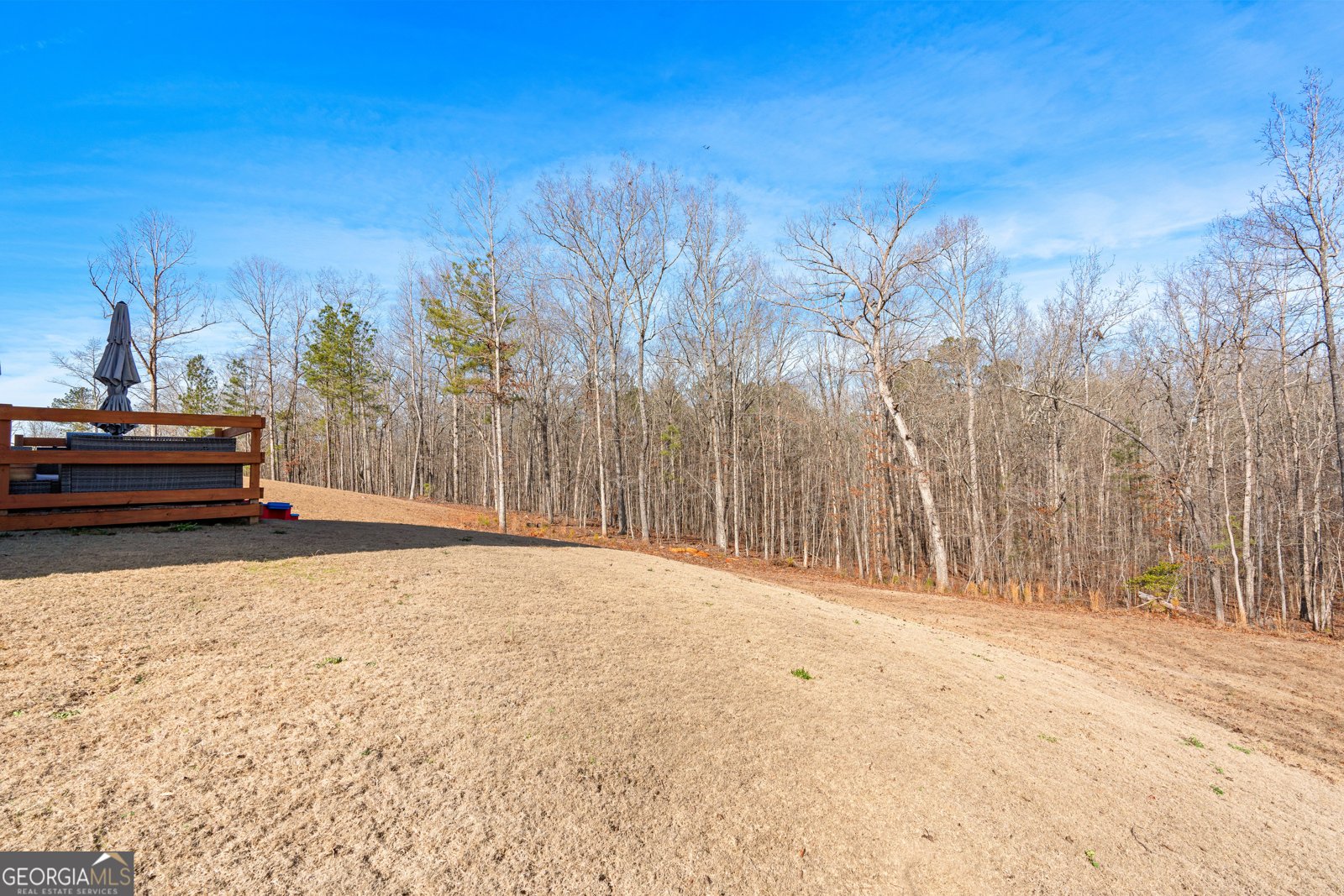821 Hunter Welch Parkway Luthersville - Photo 54