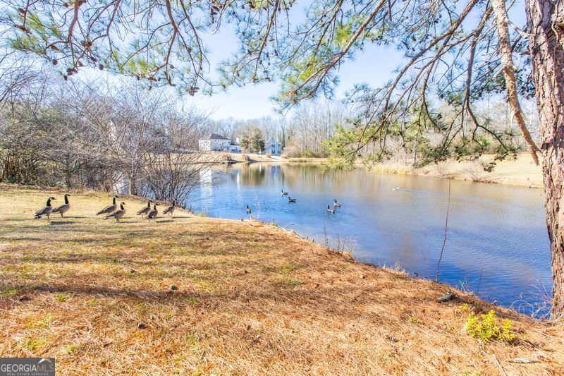 3250 Ivy Lake Drive Buford - Photo 36