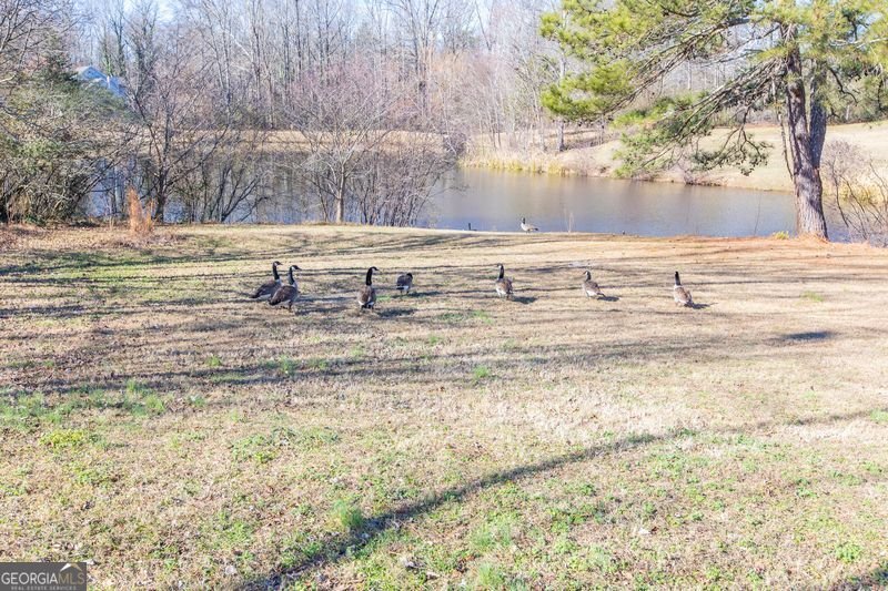 3250 Ivy Lake Drive Buford - Photo 37